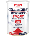 WHYSPORT COLLAGENE RIGENERA SPORT - COLLAGENE IDROLIZZATO NATURALE